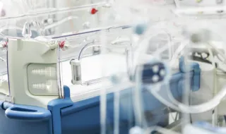 Intervención logopédica en hospitalización neonatal